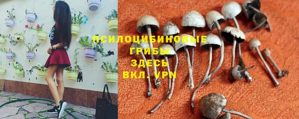 COCAINE Алзамай