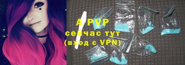прущие грибы Абинск