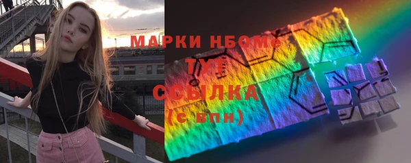 прущие грибы Абинск