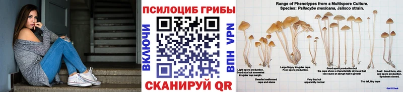 Галлюциногенные грибы Magic Shrooms  цены   Тамбов 