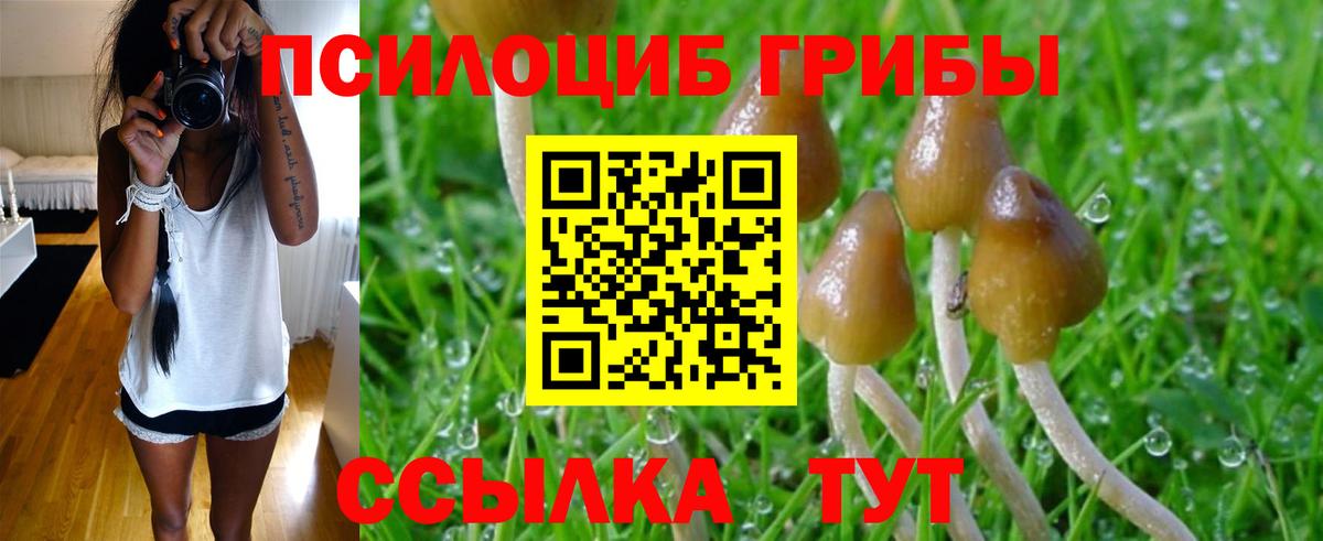 Галлюциногенные грибы Cubensis Тамбов